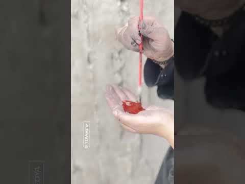 Ey gözü yaşlı, gönlü mahsun, kimsesiz Filistin!