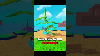 Best Plant In Pvb