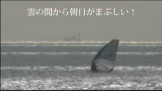 １１月１５日の三浦