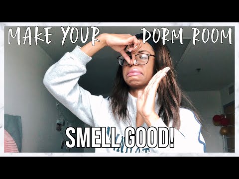 HOW TO MAKE YOUR ROOM SMELL GOOD! (5 Quick & Easy Tips!) *DORM ROOM EDITION* hqdefault