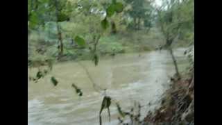 Trailside creek after 3days rain 3