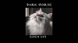 katy perry - dark horse (sped up)