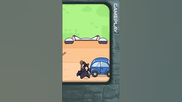 Hide and seek cat escape #shorts