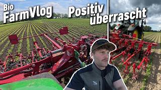 Neue Horsch Hacke im test - 2. Gabe Aserpro & mehr / Vlog 227