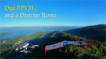 One FPV31 and a Diatone Roma