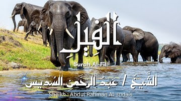 سورة الفيل / المصحف المرتل / الشيخ عبد الرحمن السديس / Surah Al-Fil / Sheikh Al-sudais