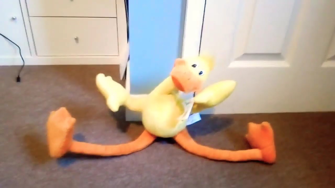rapping duck toy