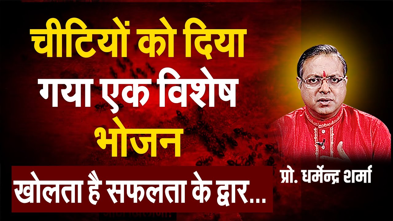 चीटियों को दिया गया एक विशेष भोजन खोलता है सफलता के द्वार | Prof. Dharmendra Sharma