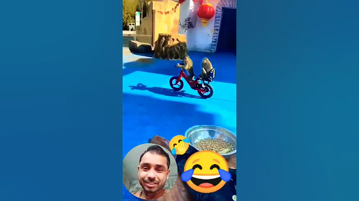 meet the new monkey 🐒 riding bike 🚲😁 #video #funny #shorts