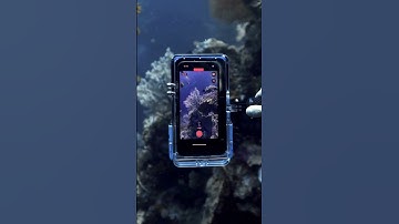 How to Shoot Underwater Photography on your iPhone #scubadiving #proshotcase  #ocean