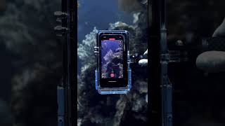 How to Shoot Underwater Photography on your iPhone #scubadiving #proshotcase  #ocean