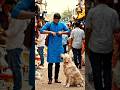 Ram ka Wafadha Kutta(Smart Dog) #youtubeshort #viral short #Amit Sharma