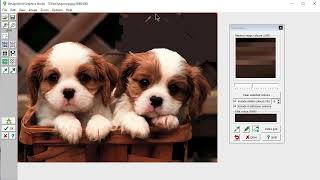 DesignaKnit 9 - Using the Conversion Wizard To Convert A Photo in DesignaKnit Graphics Studio
