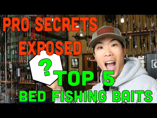 The Only Bed Fishing Baits You Need To Catch Spawning Bass 