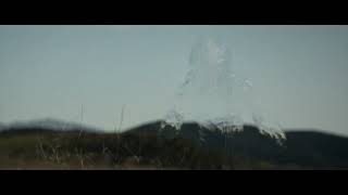predator vs wolf  Prey 2022 #Prey # wolf #Predator