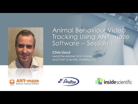 Animal Behavior Video Tracking Using ANY-maze Software -- Session 1