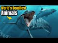 Most dangerous extinct animals  worlds dangerous creatures  muz studio