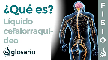 ¿Cómo es la forma de un líquido?