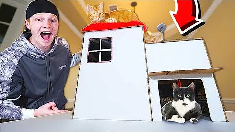 $5 CARDBOARD CAT MANSION DIY!