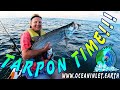 1 MULLET 1 TARPON 1 SEASON 7 18 20