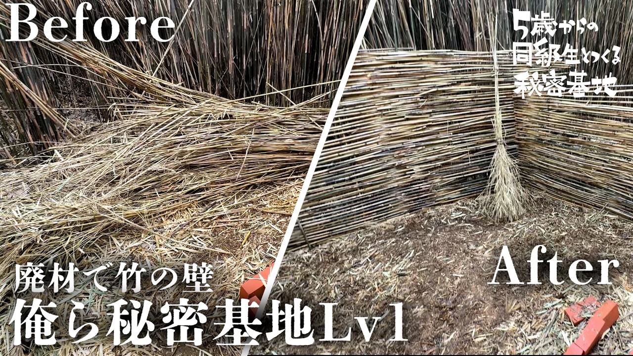 【山開拓DIY】ついに壁が完成!密林に現れた秘密基地がすごすぎる。30代の休日が最高すぎた【セルフビルド】