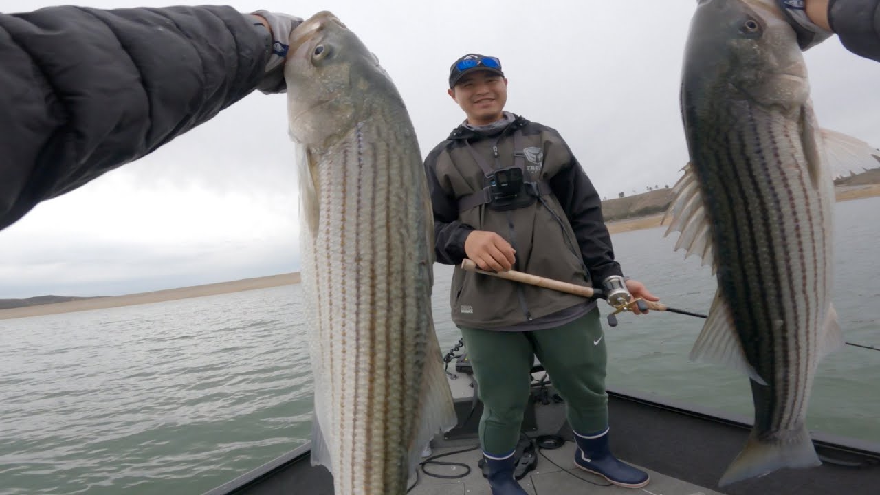 STRIPER FISHING in California GLIDE BAITS YouTube