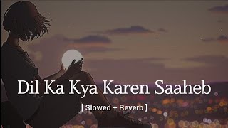 Dil Ka Kya Karen Saaheb slowed  Reverb  New Version  Kamladev Sharma  Lofi Song  Sky02 