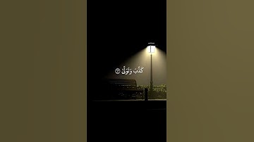 أَرَأَيْتَ إِن كَذَّبَ وَتَوَلَّىٰ . سورة العلق محمد الصديق المنشاوي #تلاوة_خاشعة