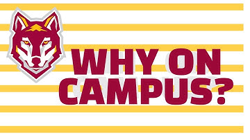 The Fresh Perspective: Why Live on at Alvernia?