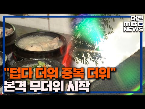 장마 끝' 중복 본격 무더위 시작/대전MBC