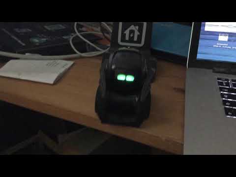 first-go-at-programming-anki's-vector