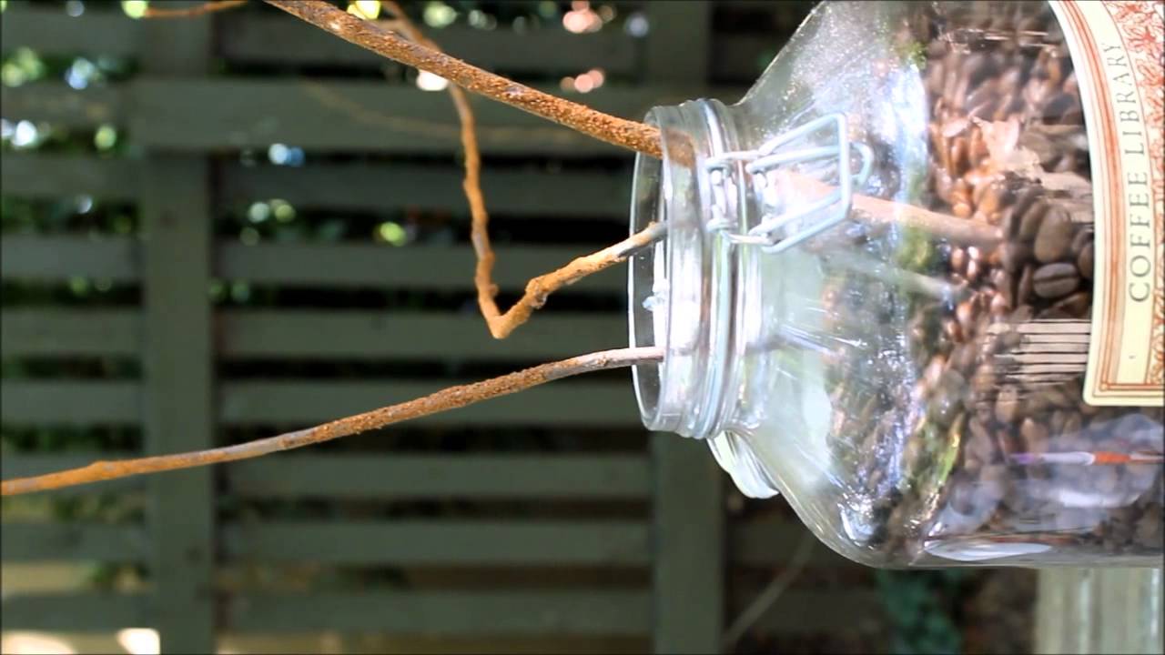 Giant Cinnamon Sticks DIY & Home YouTube