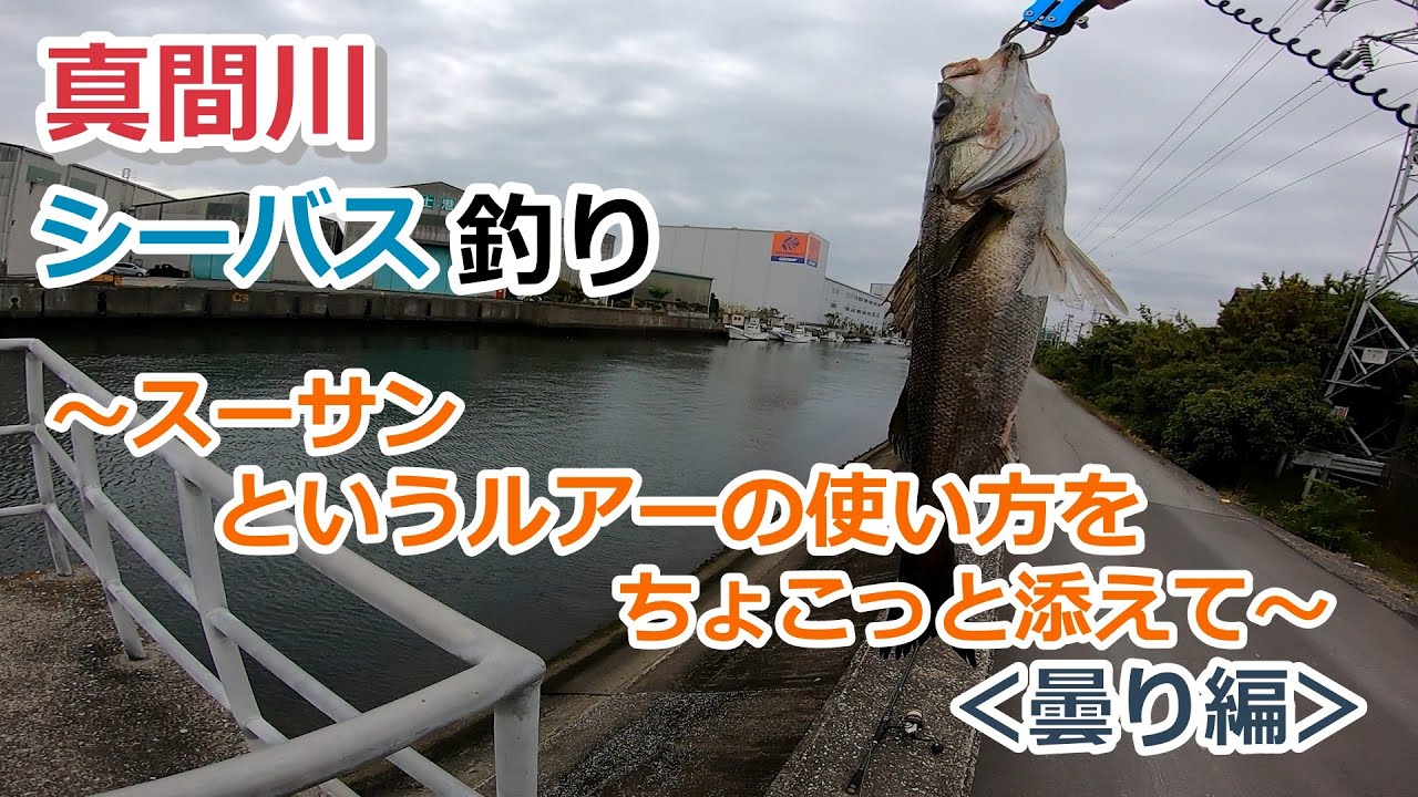 真間川 シーバス釣り スーサンというルアーの使い方をちょこっと添えて 曇り編 21年4月17日 東京湾奥 Youtube