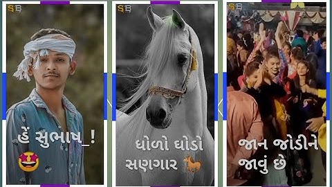 Gujarati New timli WhatsApp status 2022 jashavnt Patel Arjun patel kishor patel#shorts #youtube