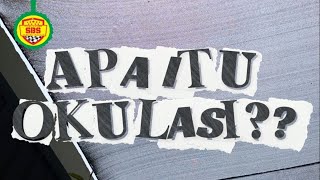 OKULASI ITU APA SIH