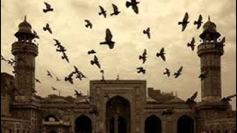 سورة غافر للشيخ حسن صالح