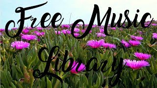 Royalty Free Music ♫ | Discovery Hit - Kevin MacLeod screenshot 4