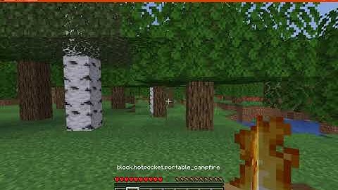 Hot Pockets 1.16.1 Fabric Mod Overview