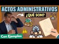 👉🏼 Actos Administrativos: ¿Qué son?【TODO Explicados con EJEMPLOS en menos de 5 minutos】