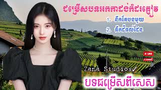 ជម្រើសបទអកកាដង់កំដរភ្ញៀវ: នឹកតែបងមួយ_ទឹកដីទល់ដែន @ZanaStudios