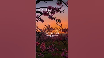 تلاوة خاشعه | القارئ ياسر الدوسري 🤍 #قرآن​ #quran​ #راحة_نفسية
