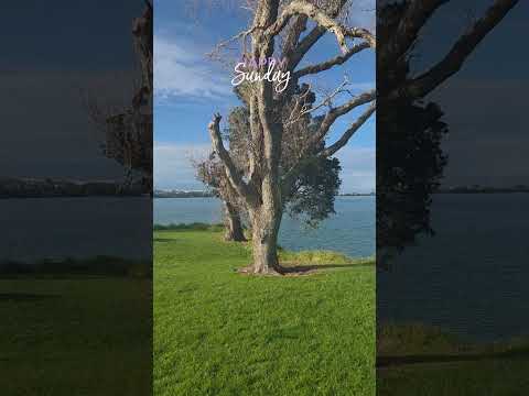 Sunday reset before next week&rsquo;s performances 🌊Where are you watching from?#IvetaAndSimone