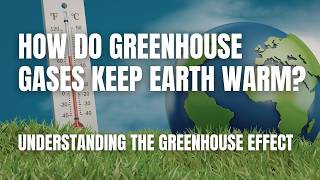 The Greenhouse Effect: How Earth Stays Warm | Middle School Science