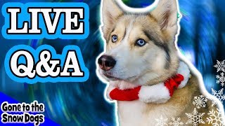 Announcements, Q&A, Huskies LIVE