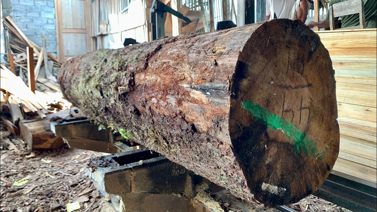 The process of sawing pine wood using benso - spirit - YouTube