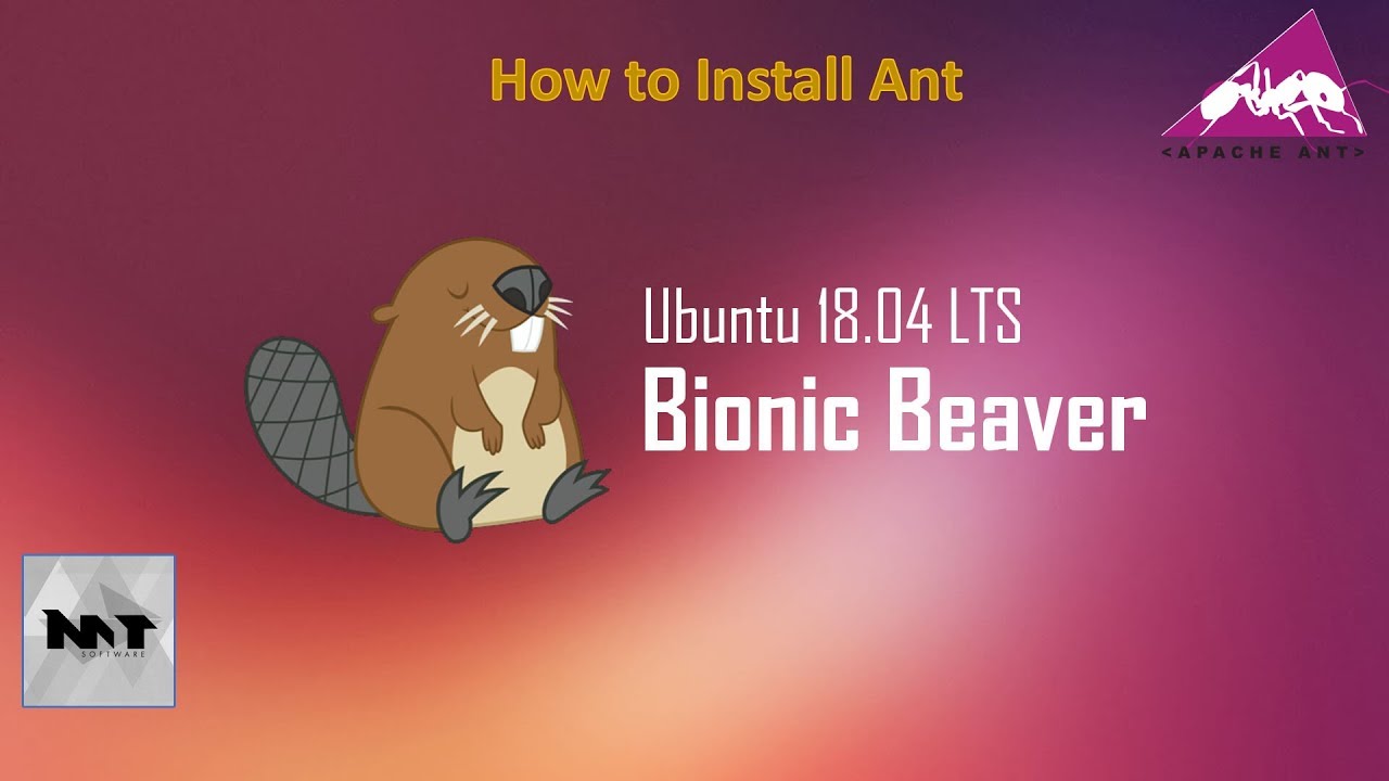 apache ant installer