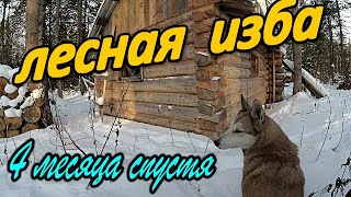 Лесная изба. 4 месяца спустя.Поход на зимовьё.