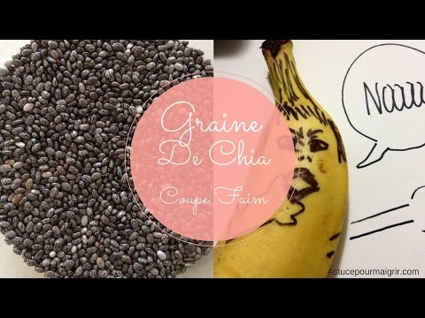 graine-de-chia-coupe-faim?