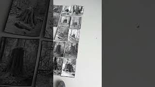 Editing the stump photos #8x10film #contactprint #darkroom #film #filmisnotdead