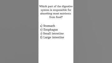 Human Digestive System Most Interesting MCQs